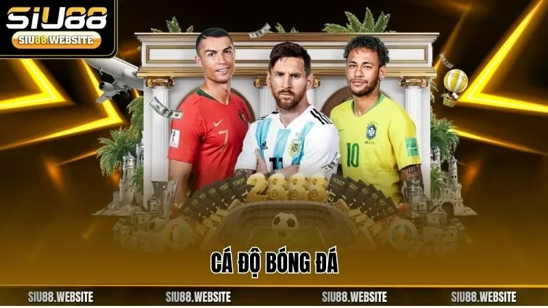 Cá độ bóng đá