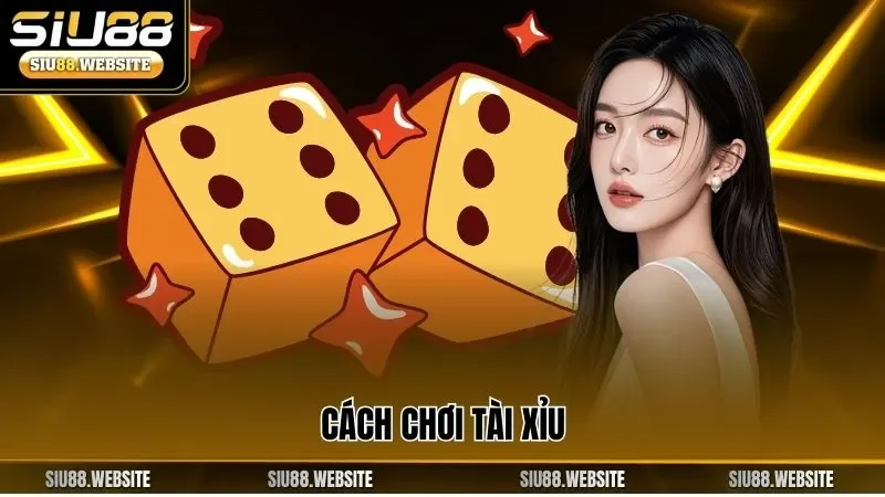 Cách chơi tài xỉu